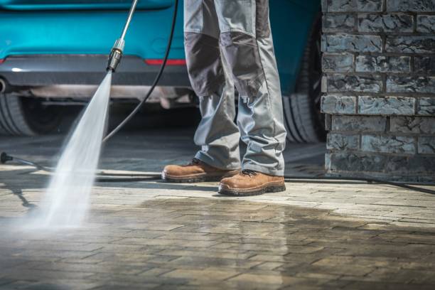 Best Roof Washing  in Ludowici, GA