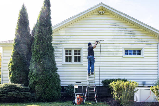 Best Driveway Pressure Washing  in Ludowici, GA